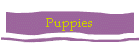 Puppies